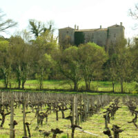 Château Barès Asques